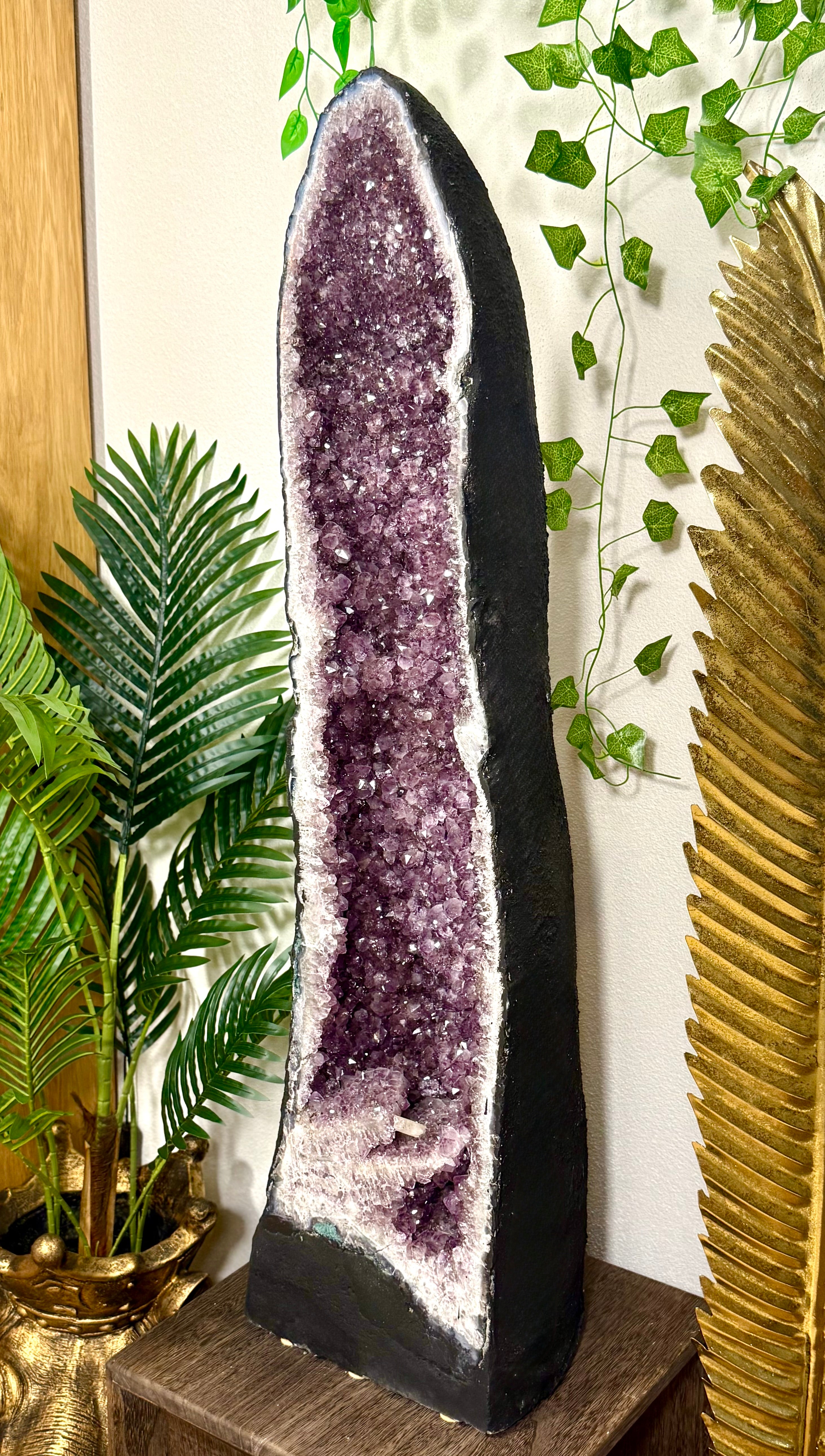 Fundstück Nr. 445 | Die Amethyst Druse - 66 Kilo Erdgeschichte - 102cm pure Präsenz