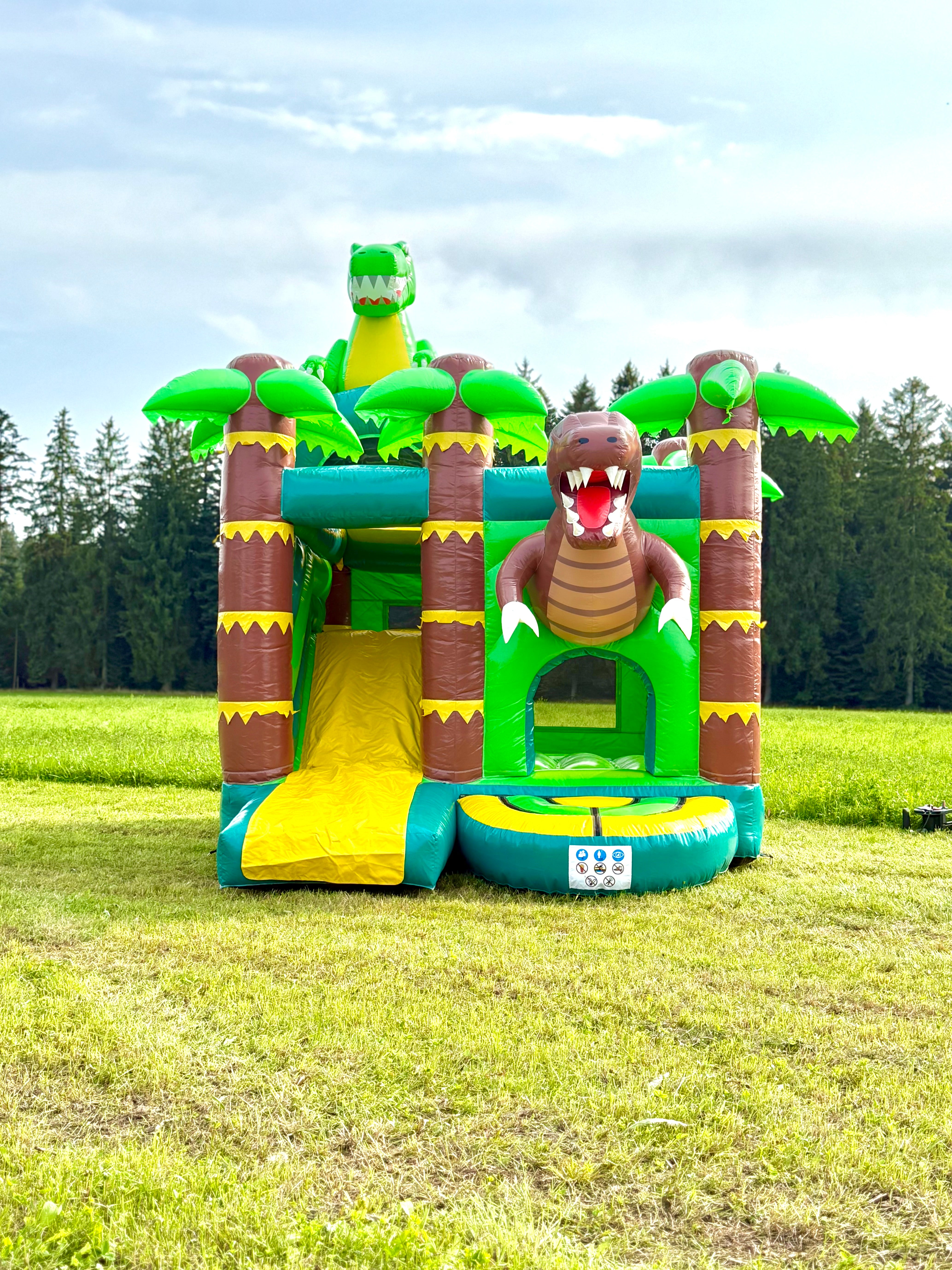 Hüpfburg - Schwarzwälder Dinoland