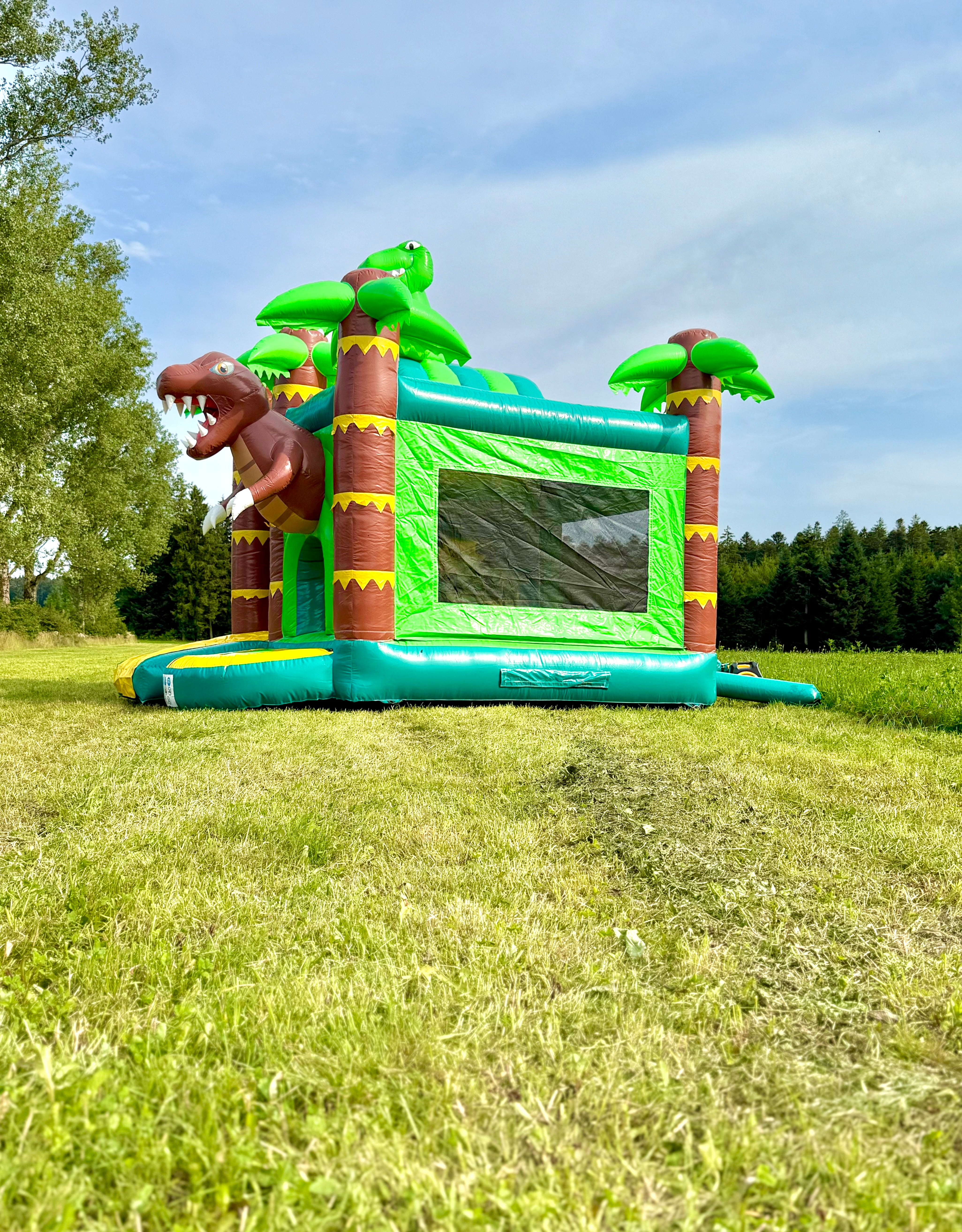 Hüpfburg - Schwarzwälder Dinoland