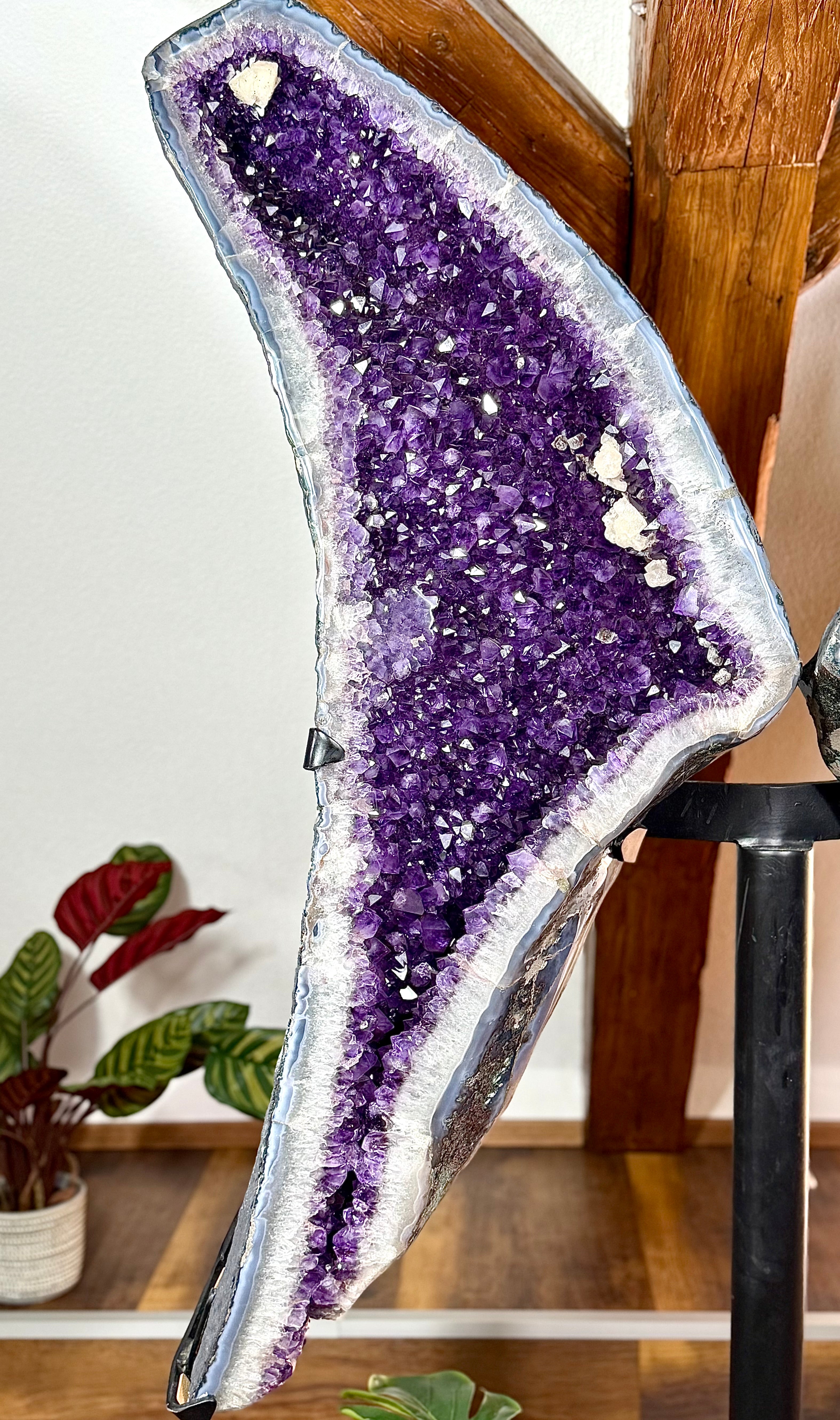 Fundstück Nr. 222 | Amethyst Flügel - Die Kraft der Natur, die dich anstarrt.