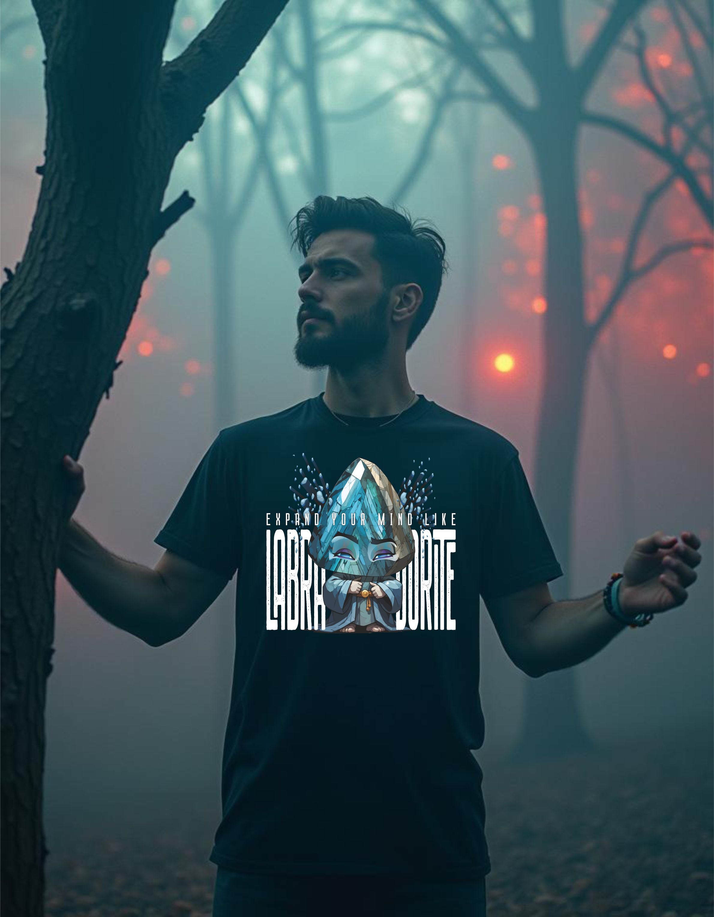T-Shirt | Herren | Motiv: EXPAND YOUR MIND LIKE LABRADORITE