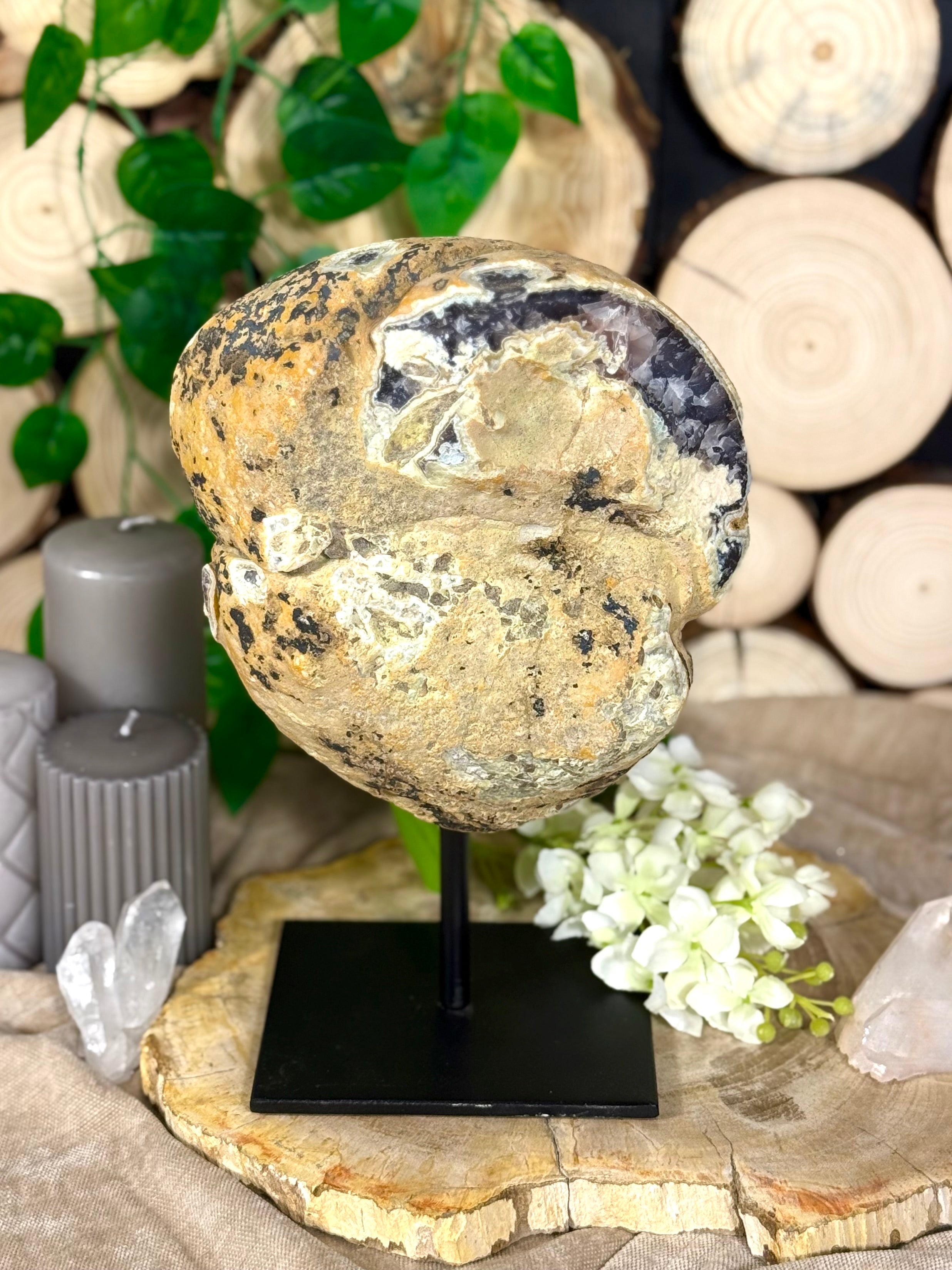 Fundstück Nr. 116 | Achat auf Metallständer - Naturgeschichte, die für sich spricht.