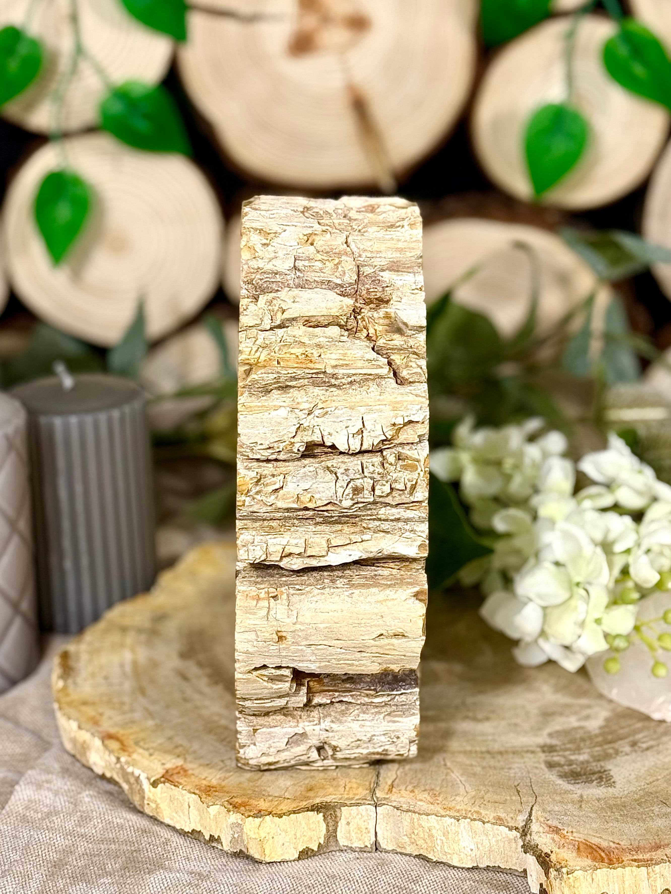 Fundstück Nr. VH14 | Versteinertes Holz auf Ständer