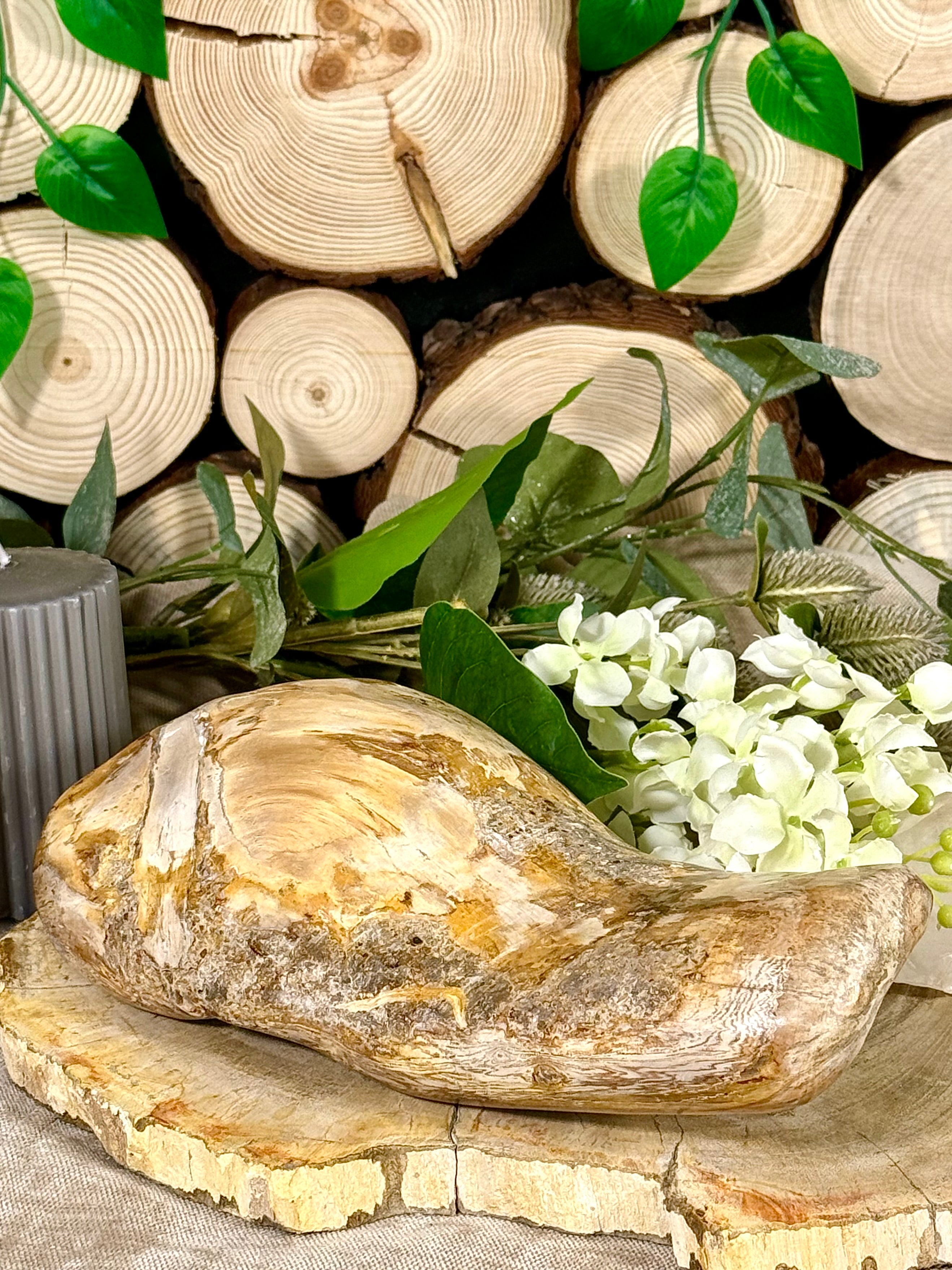Fundstück Nr. VH15 | Versteinertes Holz
