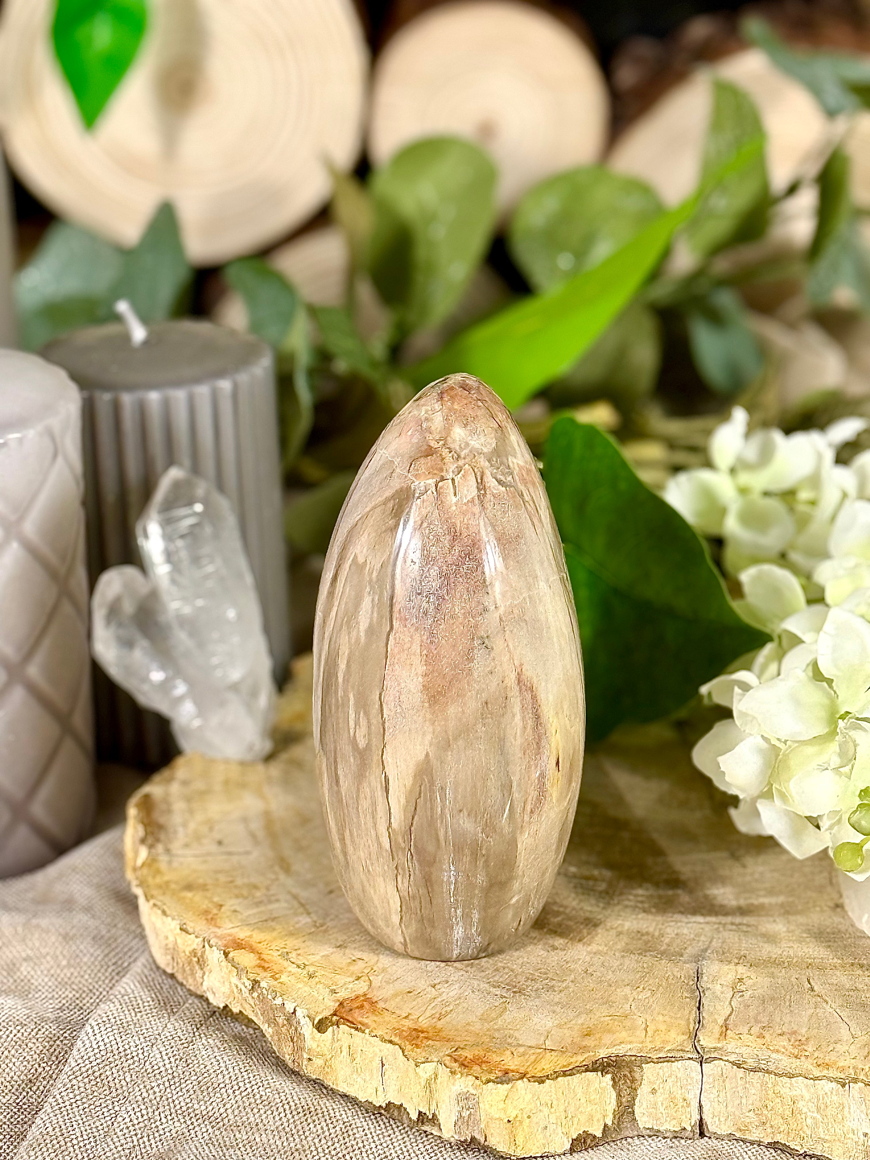 Fundstück Nr. VH6 | Versteinertes Holz