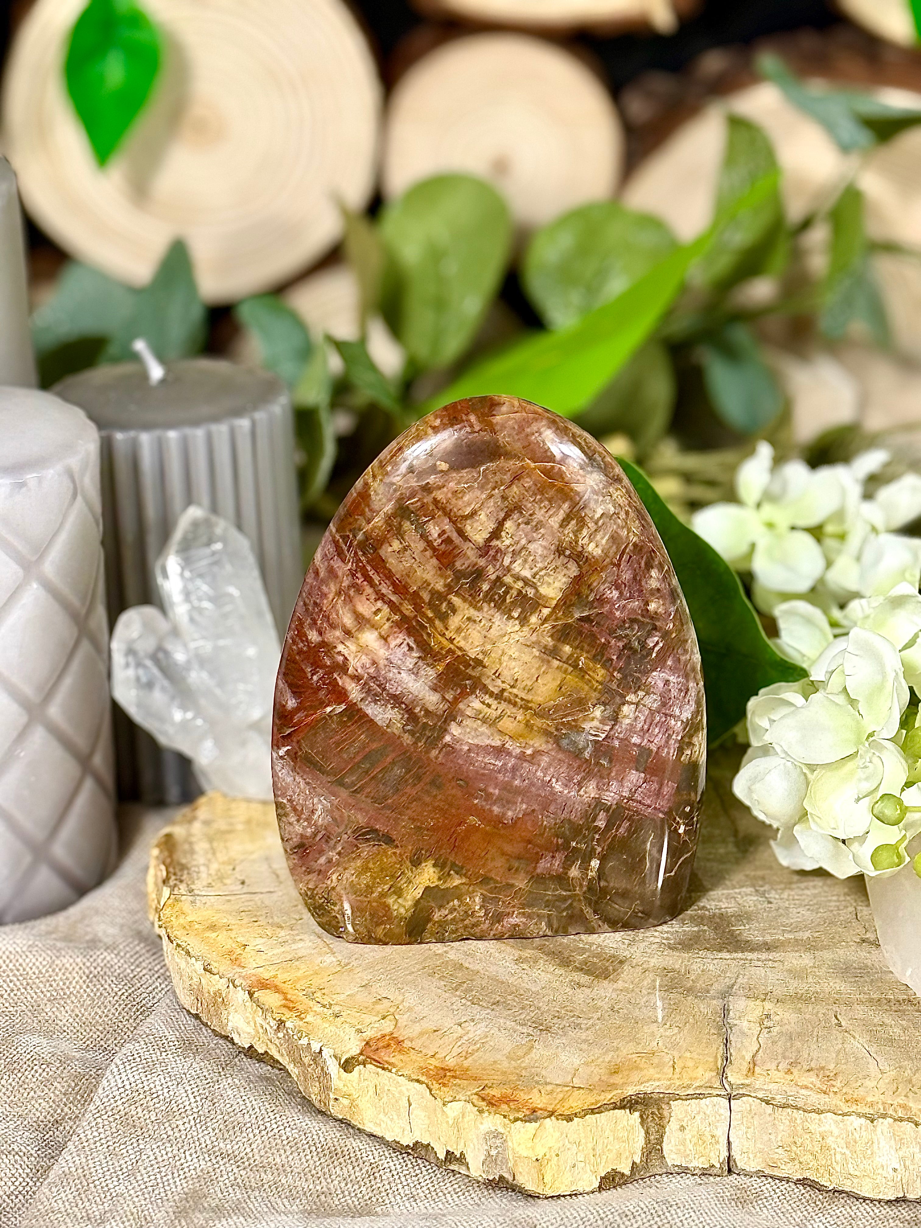 Fundstück Nr. VH7 | Versteinertes Holz
