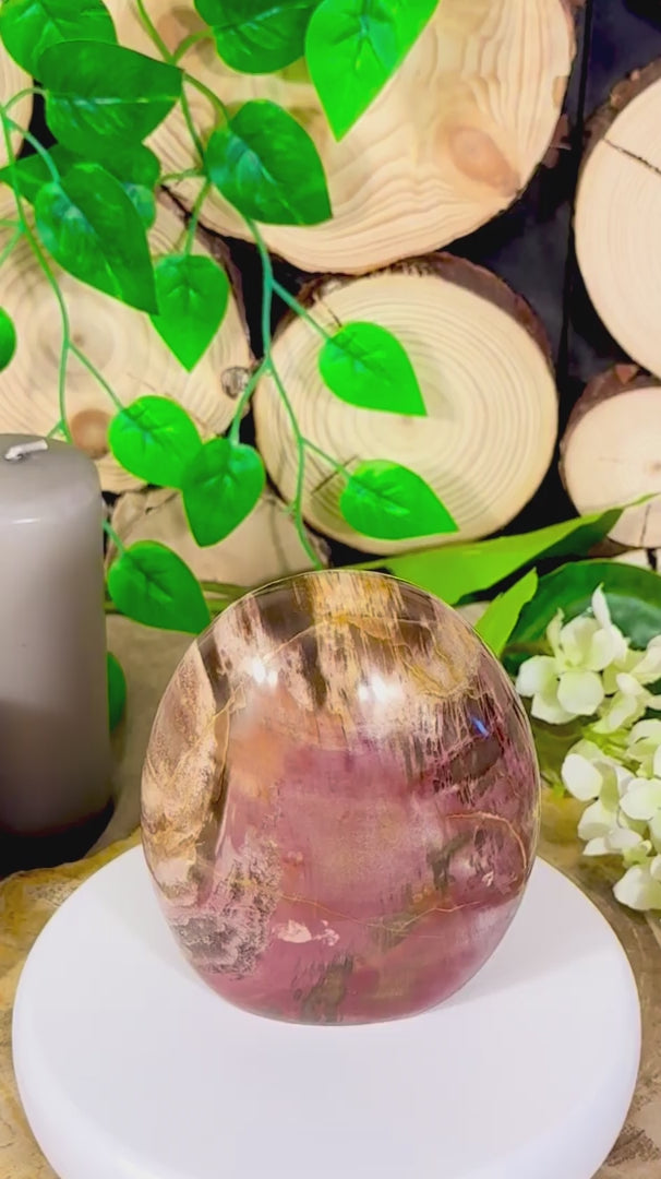 Fundstück Nr. 114 | Versteinertes Holz in Freiform