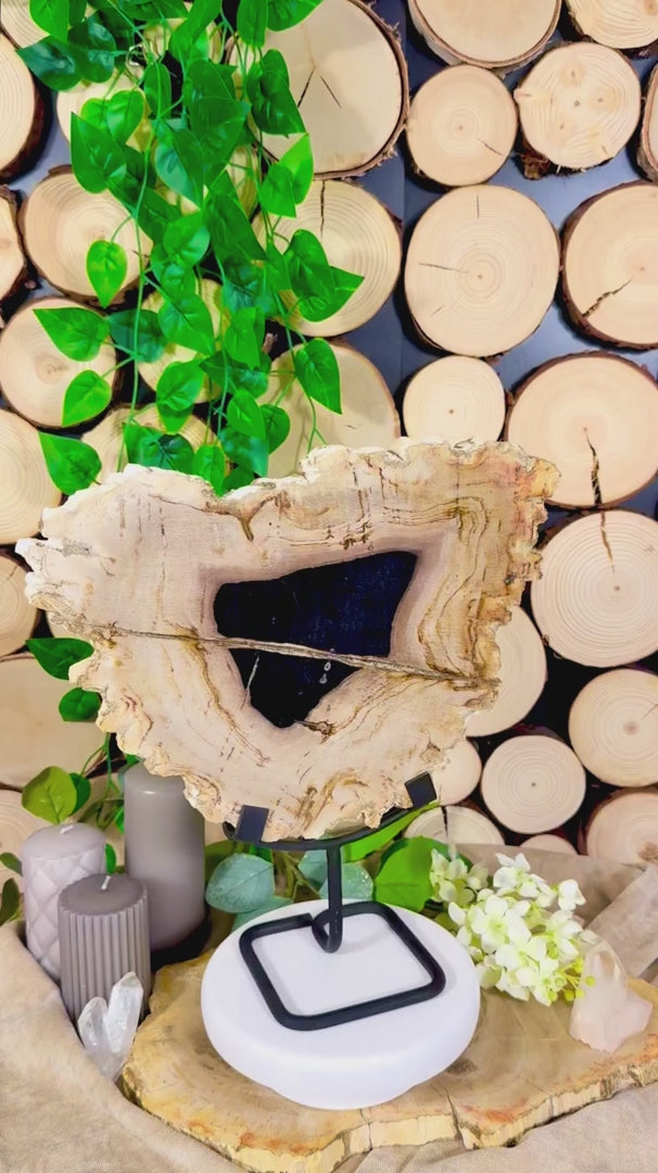 Fundstück Nr. 115 | Versteinertes Holz - Urzeitkunst auf Ständer