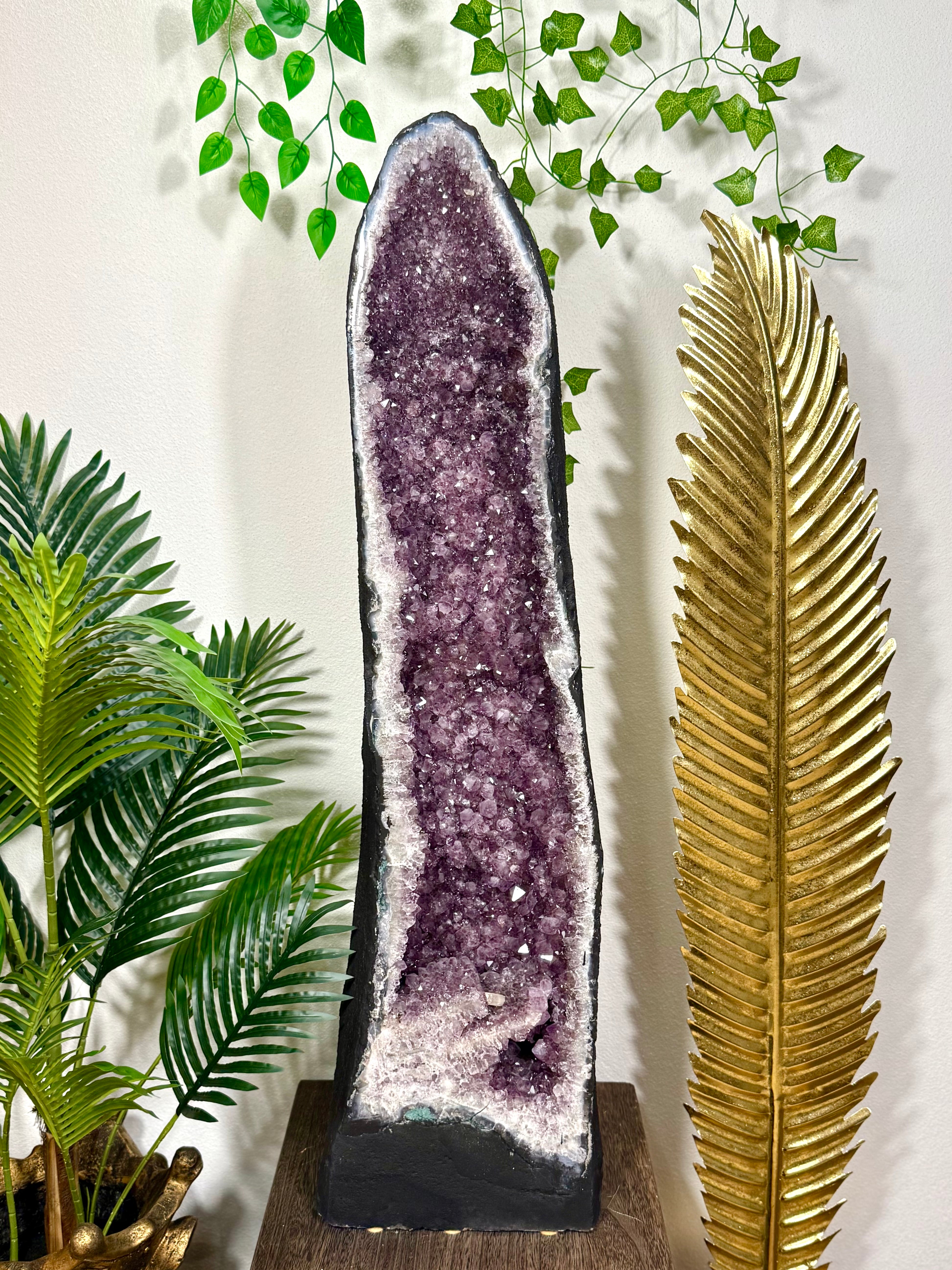 Fundstück Nr. 445 | Die Amethyst Druse - 66 Kilo Erdgeschichte - 102cm pure Präsenz