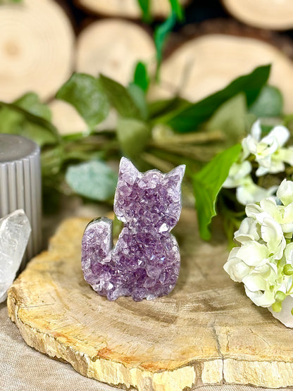 Fundstück Nr. AY12 | Amethyst Katze