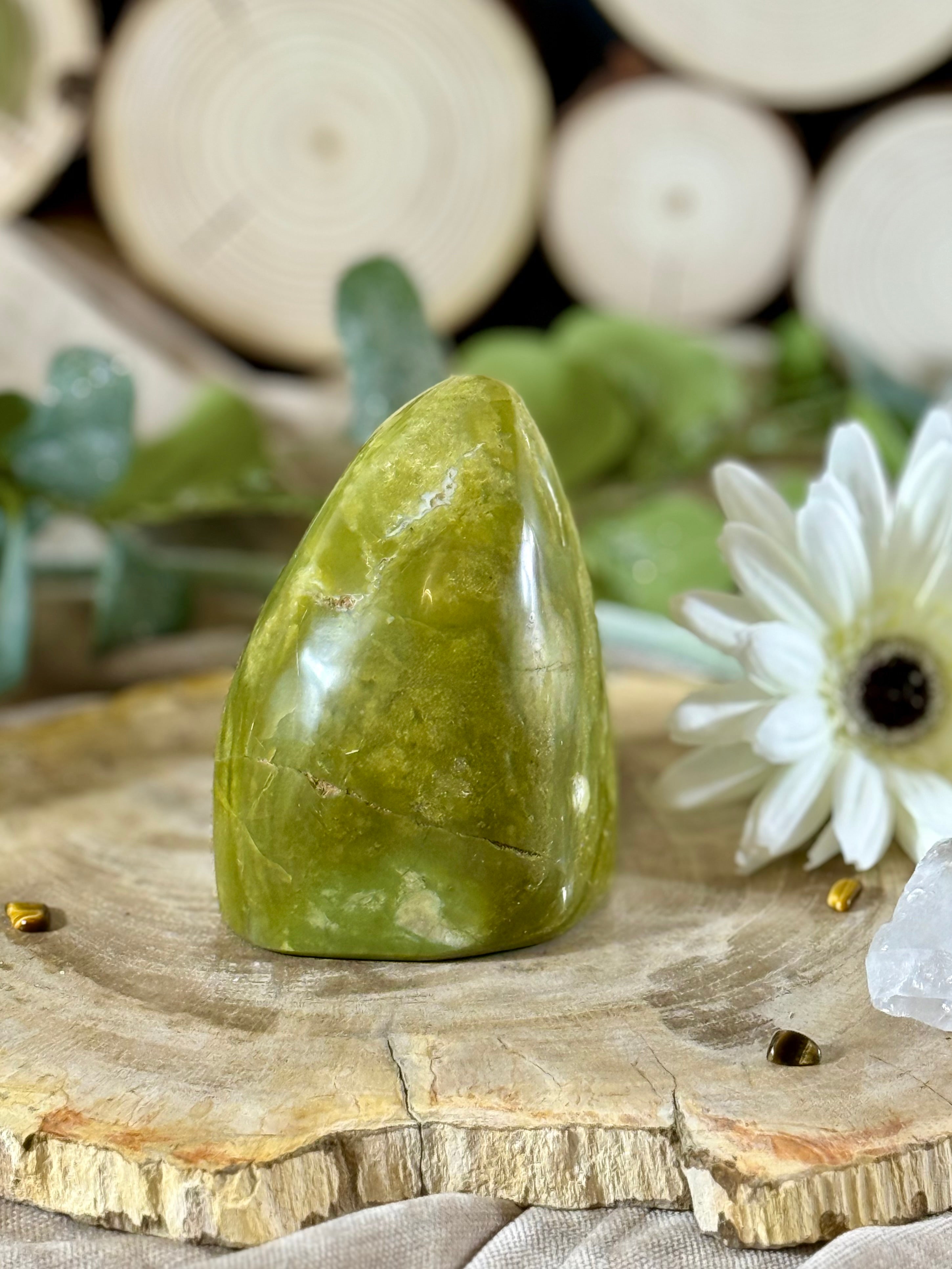 Fundstück Nr. 22 | Grüner Opal - Freiform aus der Natur