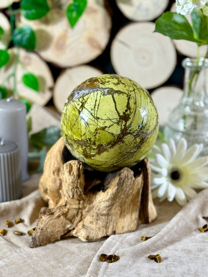 Fundstück Nr. 21 | Grüner Opal auf Wurzelthron - Wenn Natur beginnt zu leuchten
