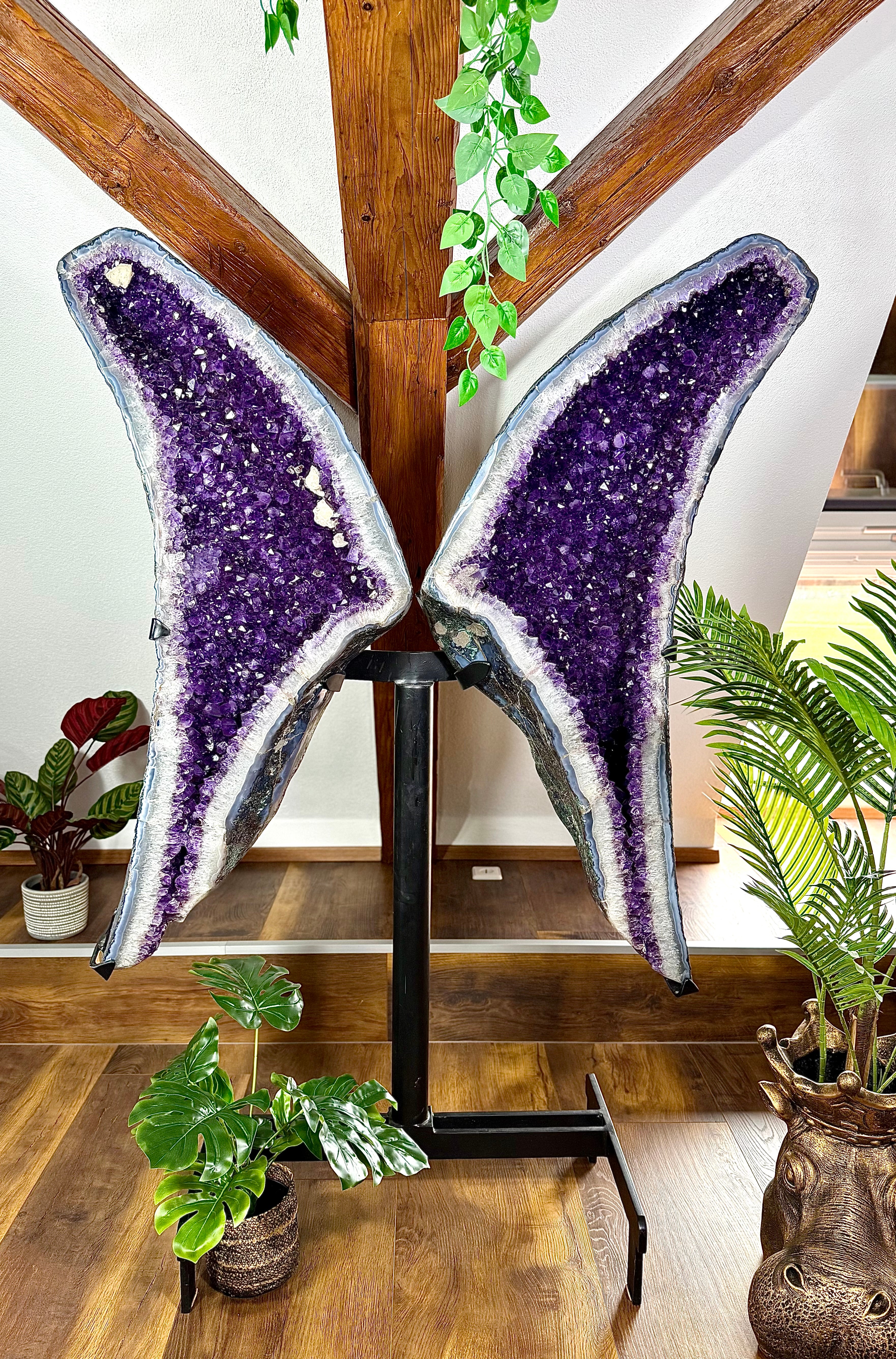 Fundstück Nr. 222 | Amethyst Flügel - Die Kraft der Natur, die dich anstarrt.