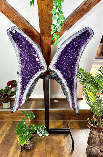 Fundstück Nr. 222 | Amethyst Flügel - Die Kraft der Natur, die dich anstarrt.