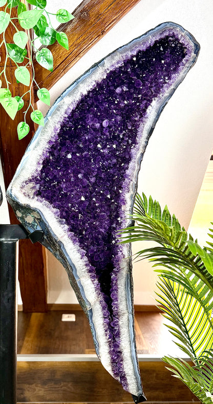 Fundstück Nr. 222 | Amethyst Flügel - Die Kraft der Natur, die dich anstarrt.
