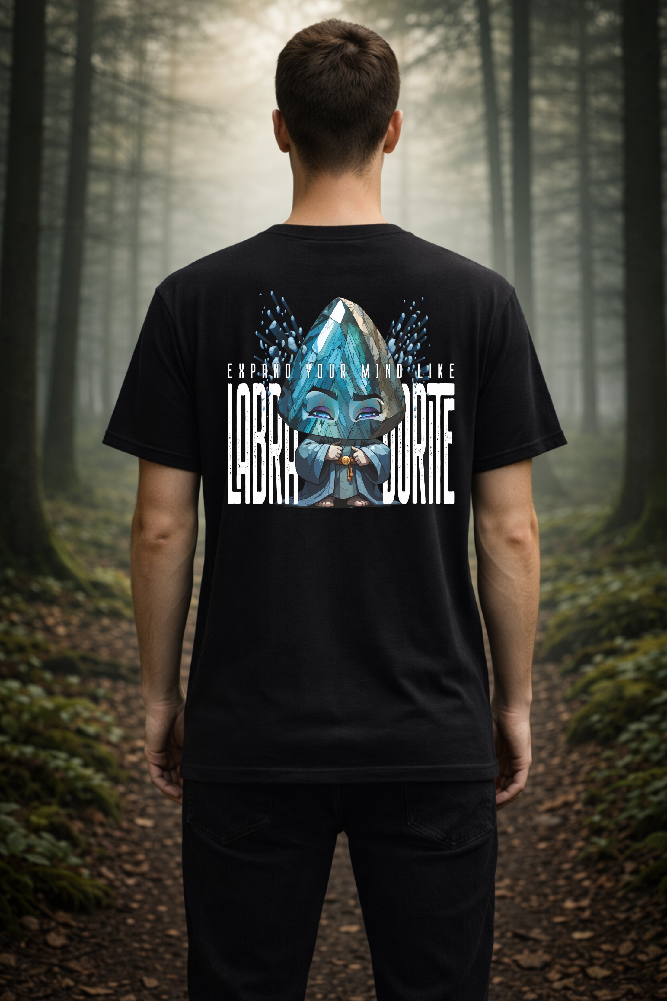T-Shirt | Herren | Motiv: EXPAND YOUR MIND LIKE LABRADORITE