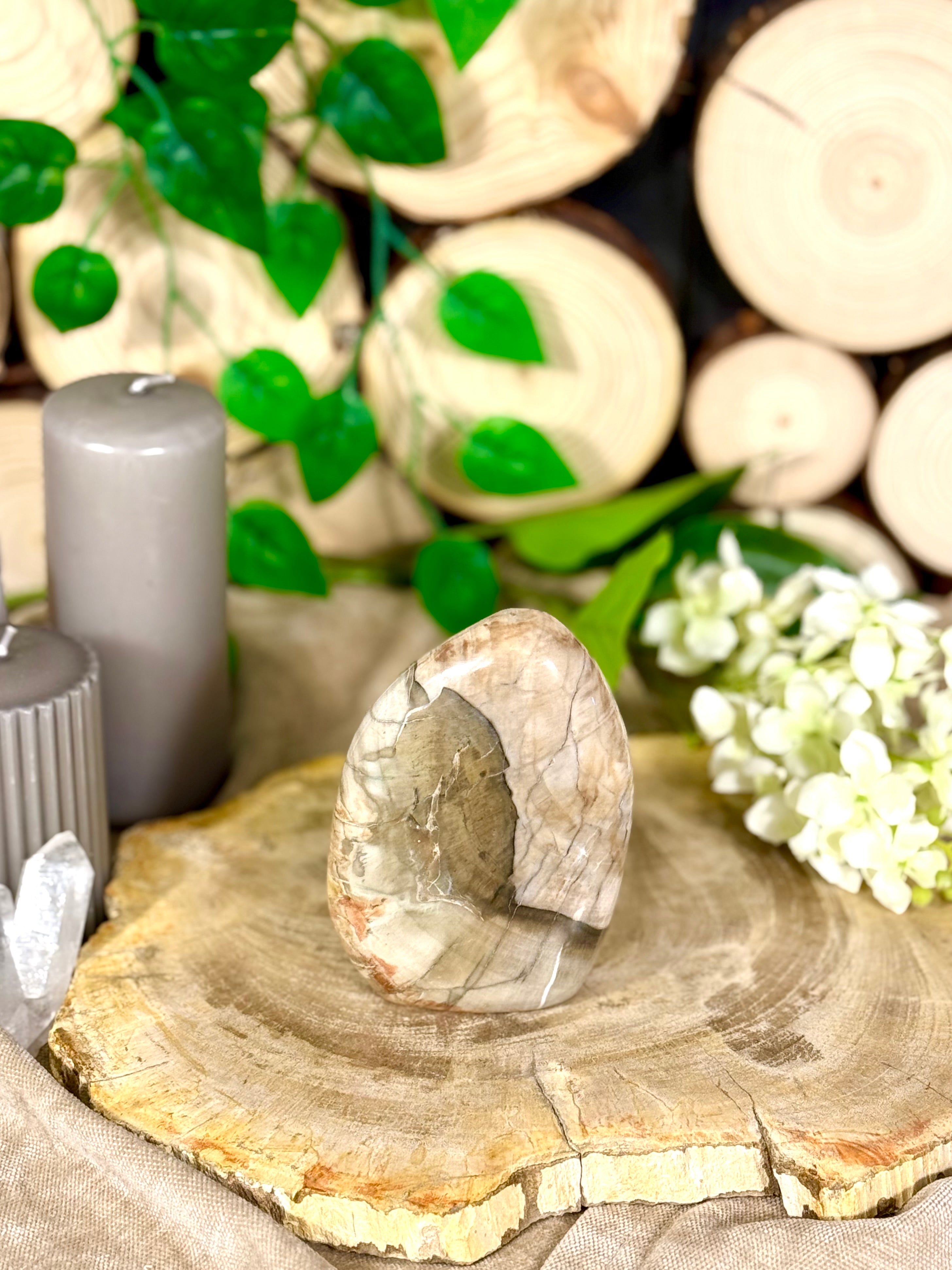 Fundstück Nr. 112 | Versteinertes Holz in Freiform