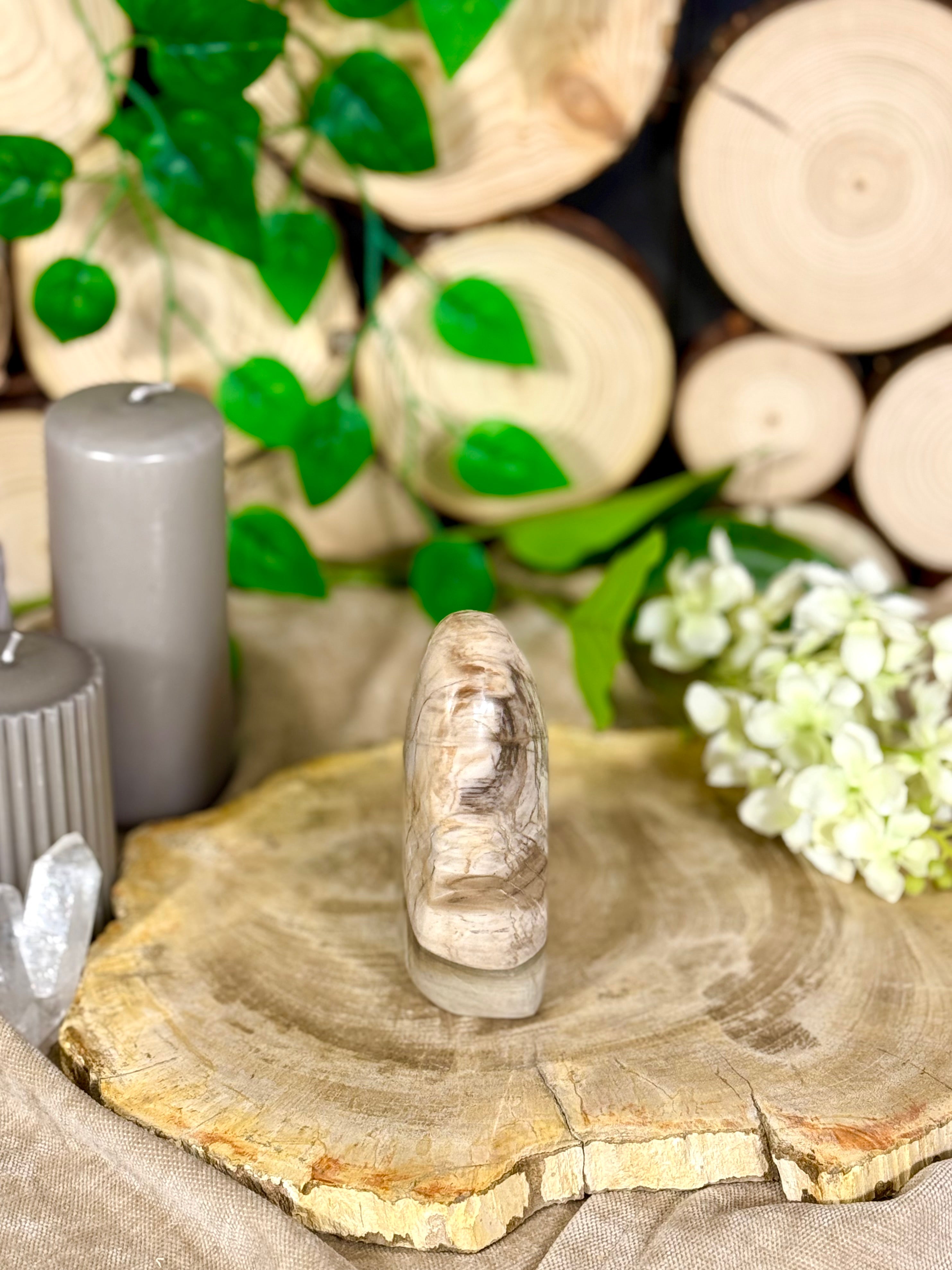 Fundstück Nr. 112 | Versteinertes Holz in Freiform