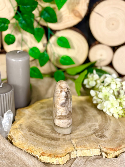 Fundstück Nr. 112 | Versteinertes Holz in Freiform