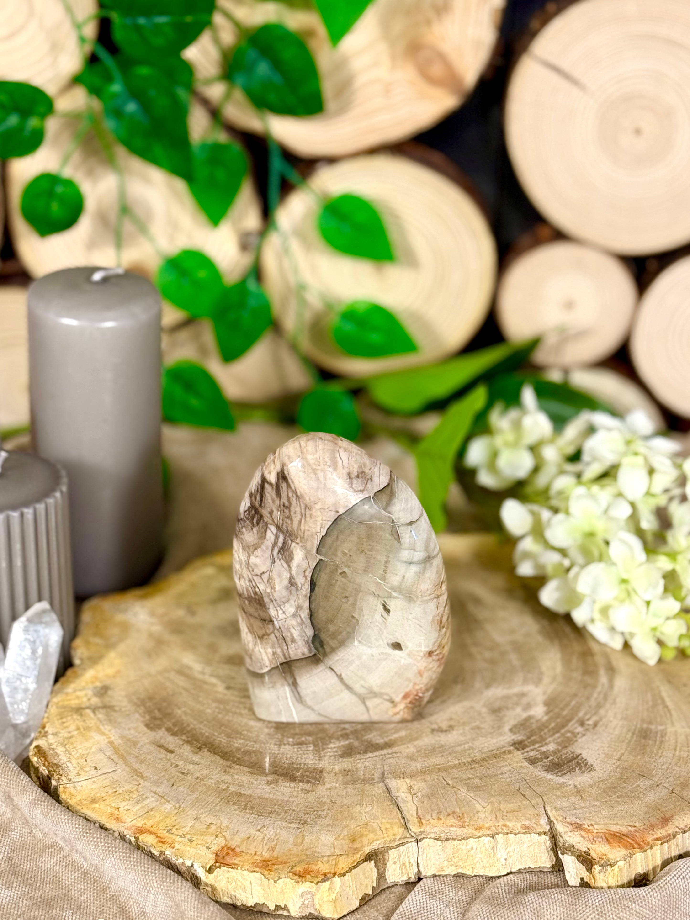 Fundstück Nr. 112 | Versteinertes Holz in Freiform