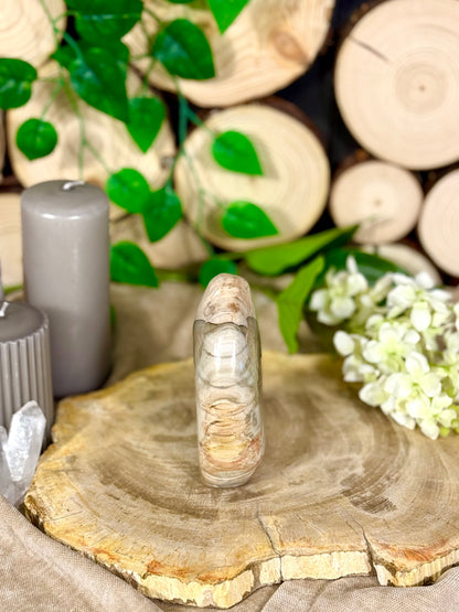 Fundstück Nr. 112 | Versteinertes Holz in Freiform