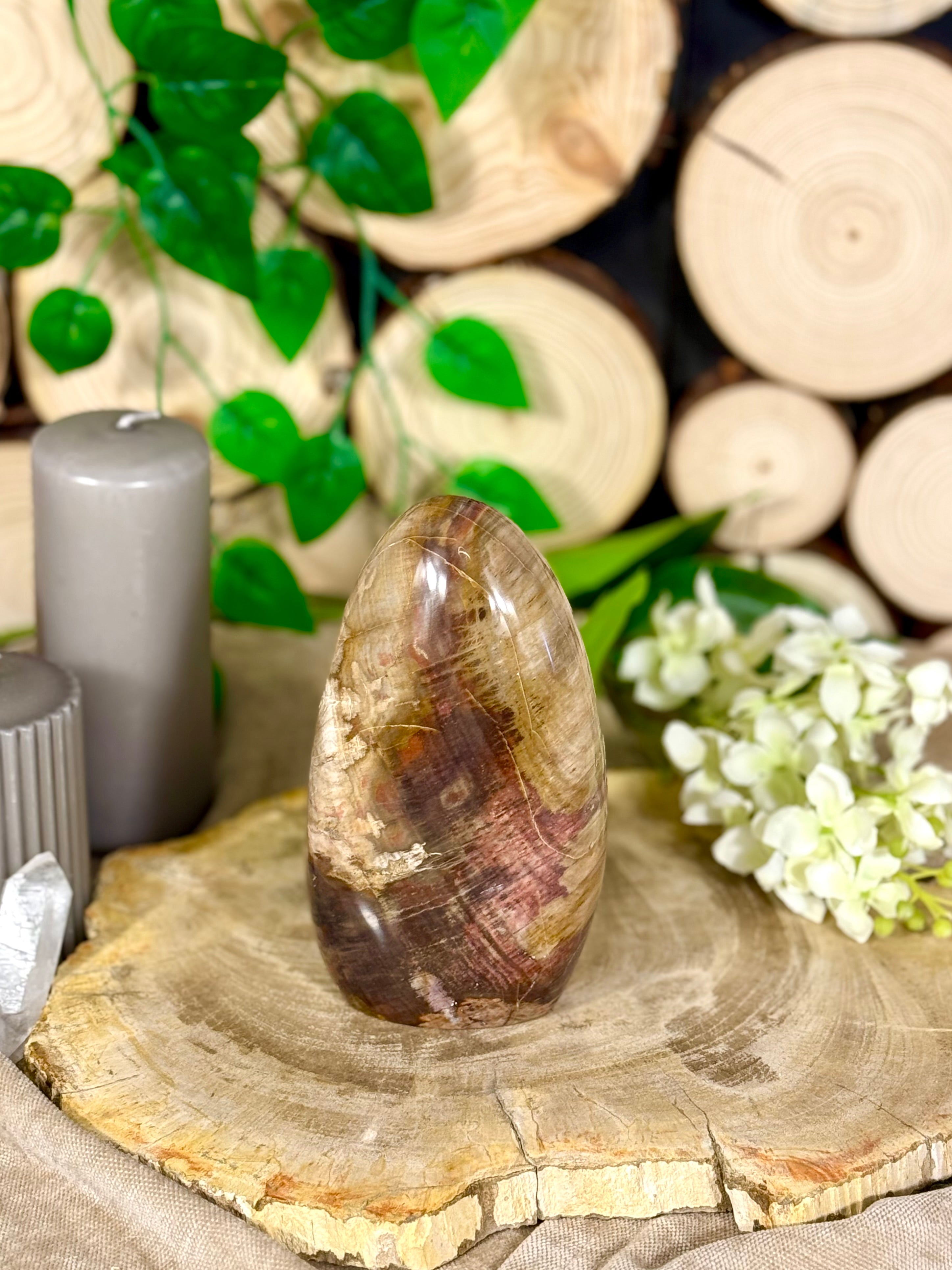 Fundstück Nr. 113 | Versteinertes Holz in Freiform
