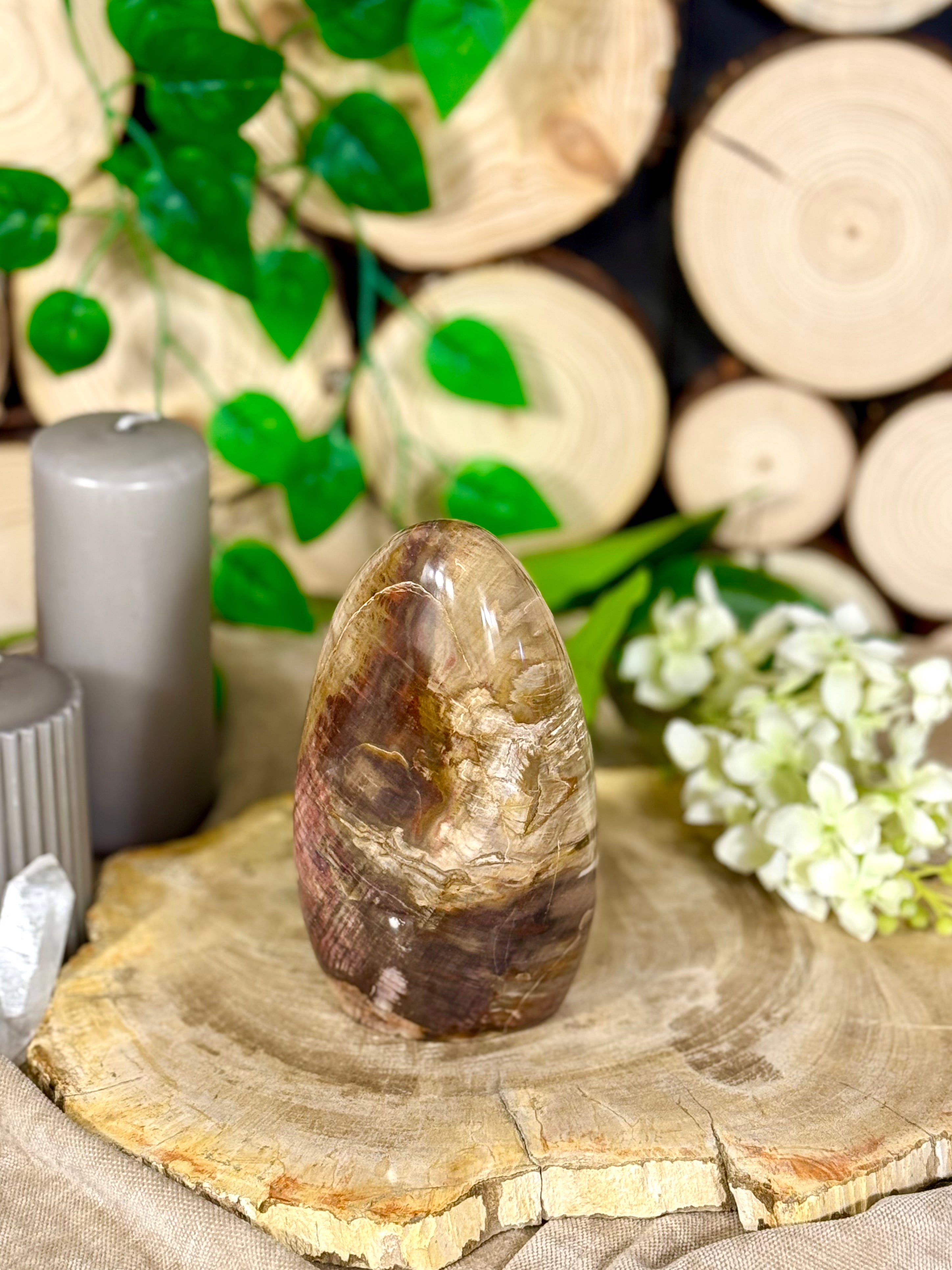 Fundstück Nr. 113 | Versteinertes Holz in Freiform