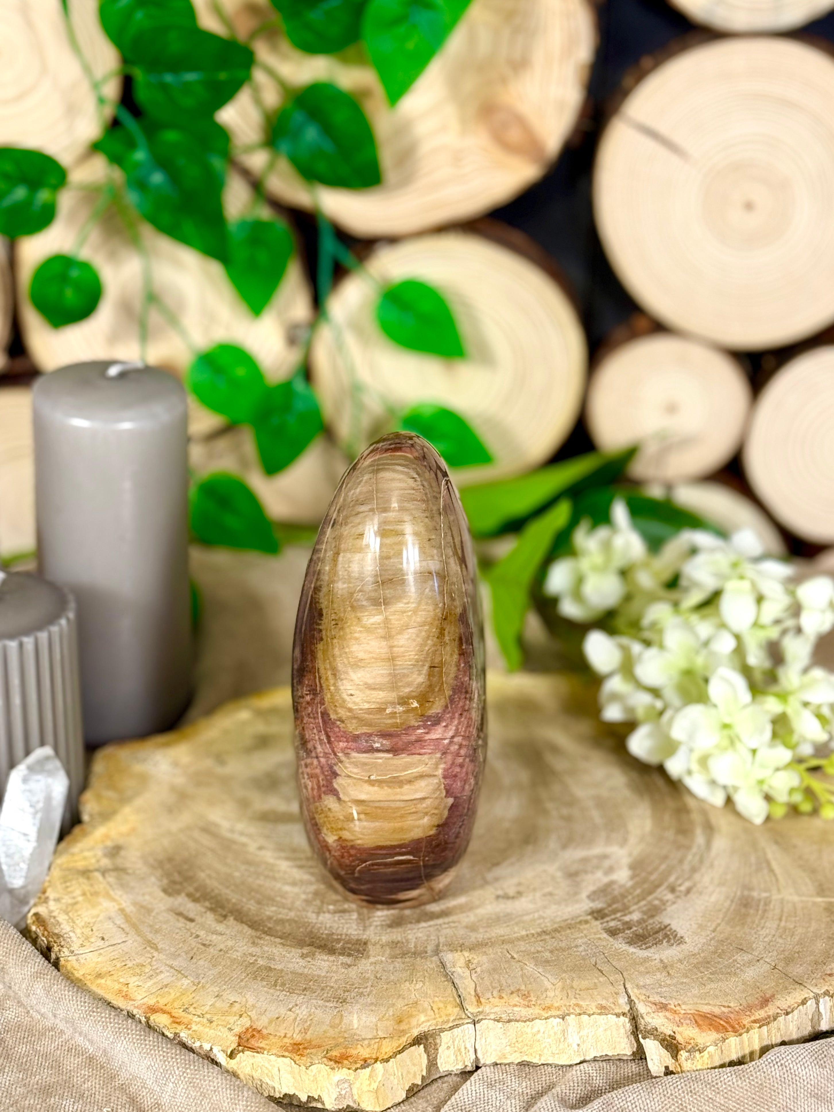 Fundstück Nr. 113 | Versteinertes Holz in Freiform
