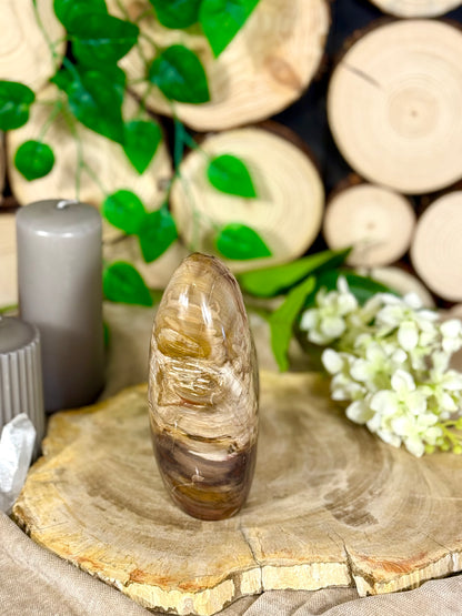 Fundstück Nr. 113 | Versteinertes Holz in Freiform