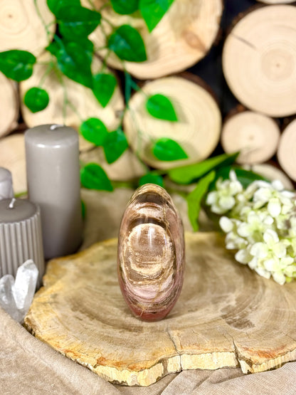 Fundstück Nr. 114 | Versteinertes Holz in Freiform