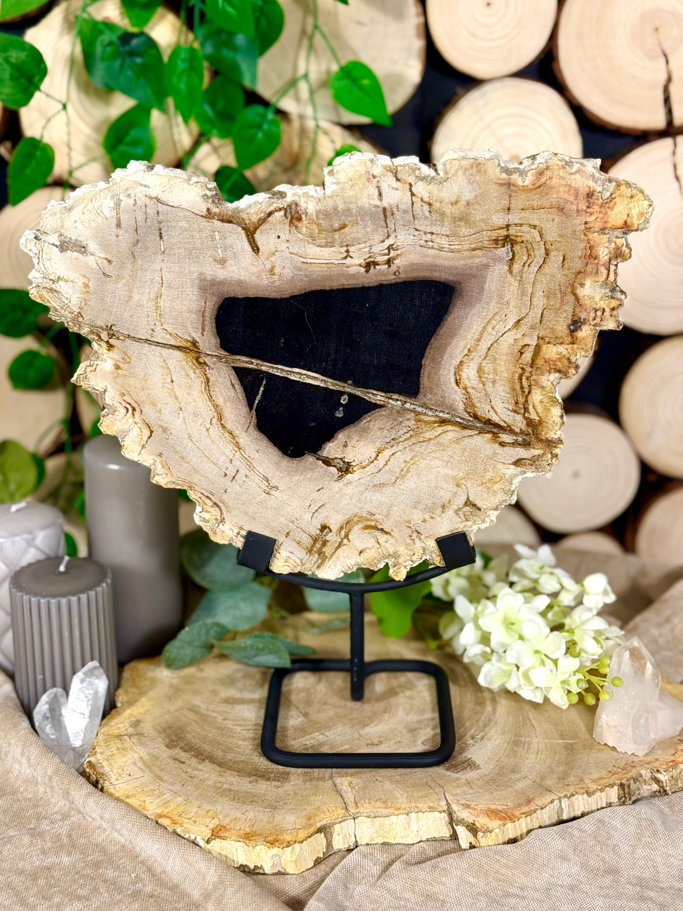 Fundstück Nr. 115 | Versteinertes Holz - Urzeitkunst auf Ständer