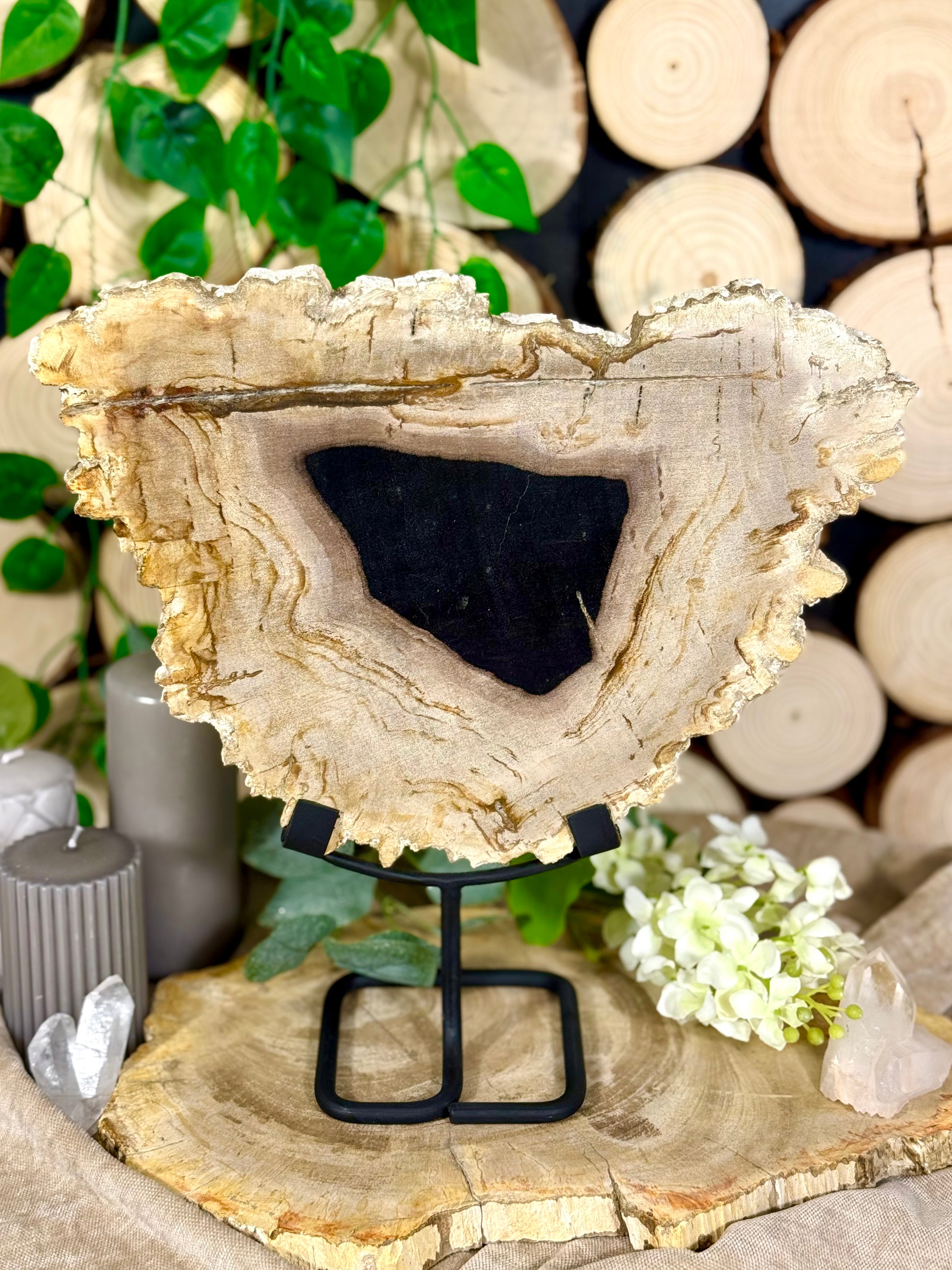 Fundstück Nr. 115 | Versteinertes Holz - Urzeitkunst auf Ständer