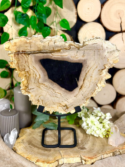 Fundstück Nr. 115 | Versteinertes Holz - Urzeitkunst auf Ständer