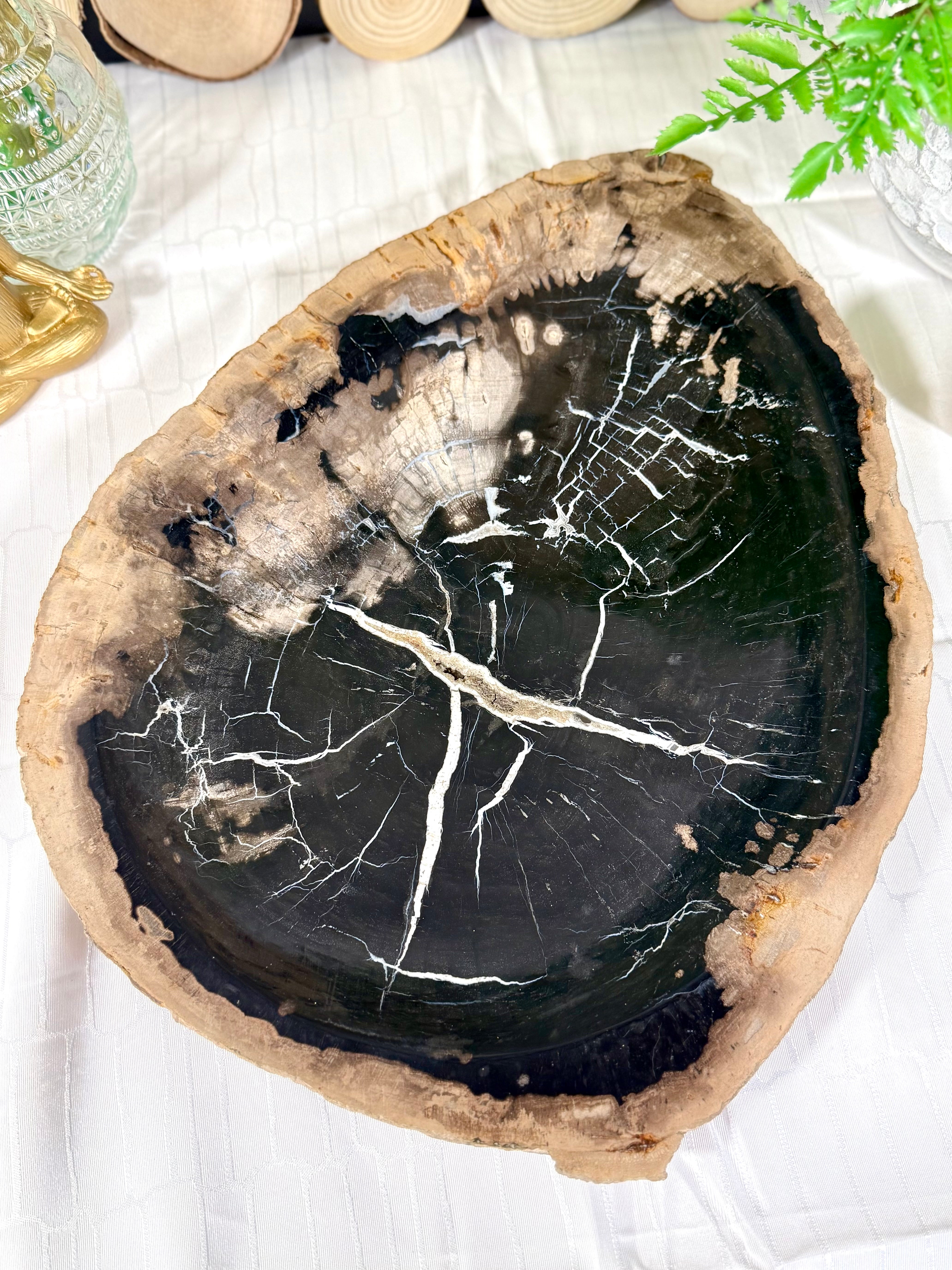 Fundstück Nr. 145 | Versteinertes Holz - Urkraft in Plattenform