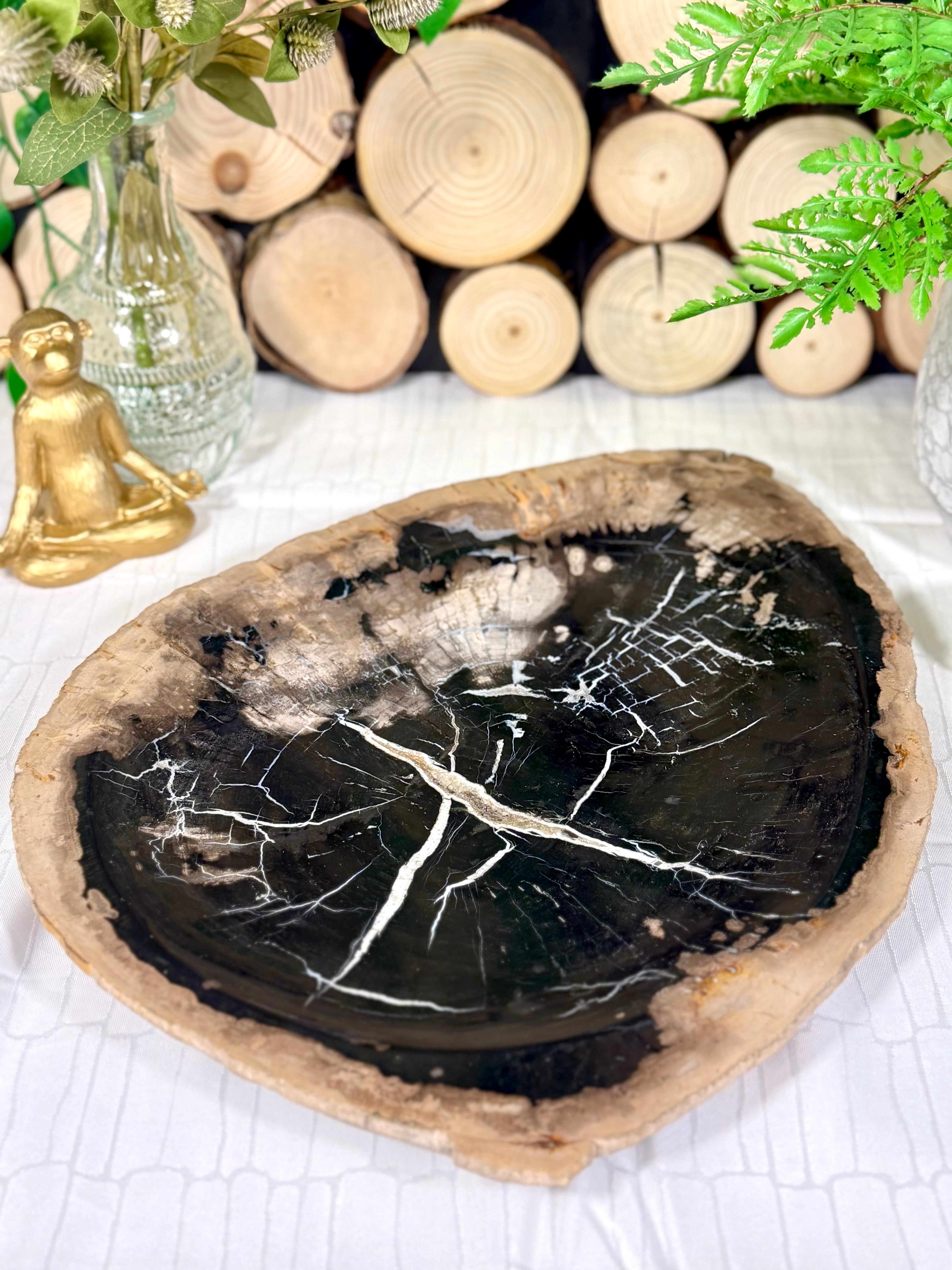 Fundstück Nr. 145 | Versteinertes Holz - Urkraft in Plattenform