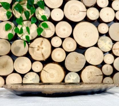 Fundstück Nr. 145 | Versteinertes Holz - Urkraft in Plattenform