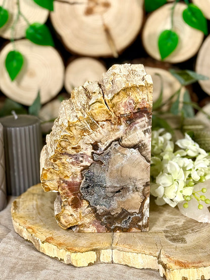 Fundstück Nr. VH14 | Versteinertes Holz auf Ständer