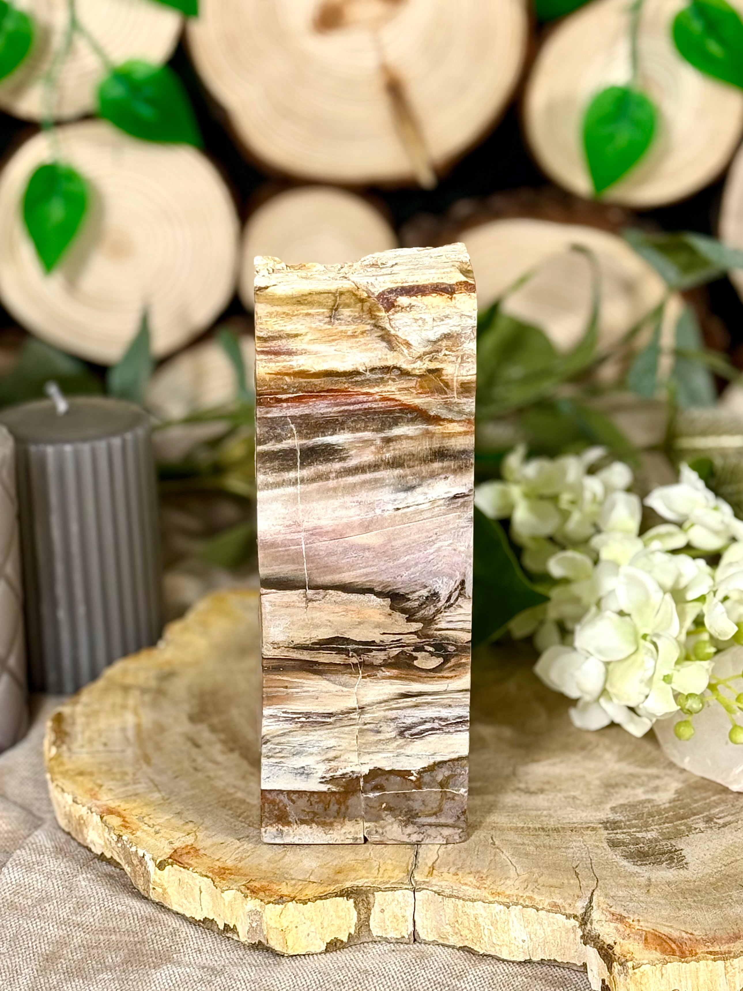 Fundstück Nr. VH14 | Versteinertes Holz auf Ständer