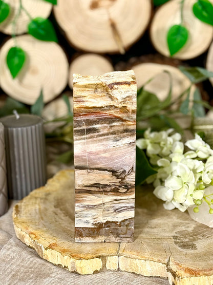 Fundstück Nr. VH14 | Versteinertes Holz auf Ständer
