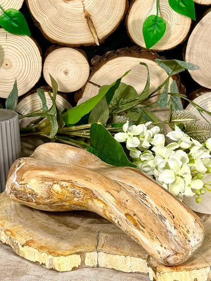 Fundstück Nr. VH15 | Versteinertes Holz