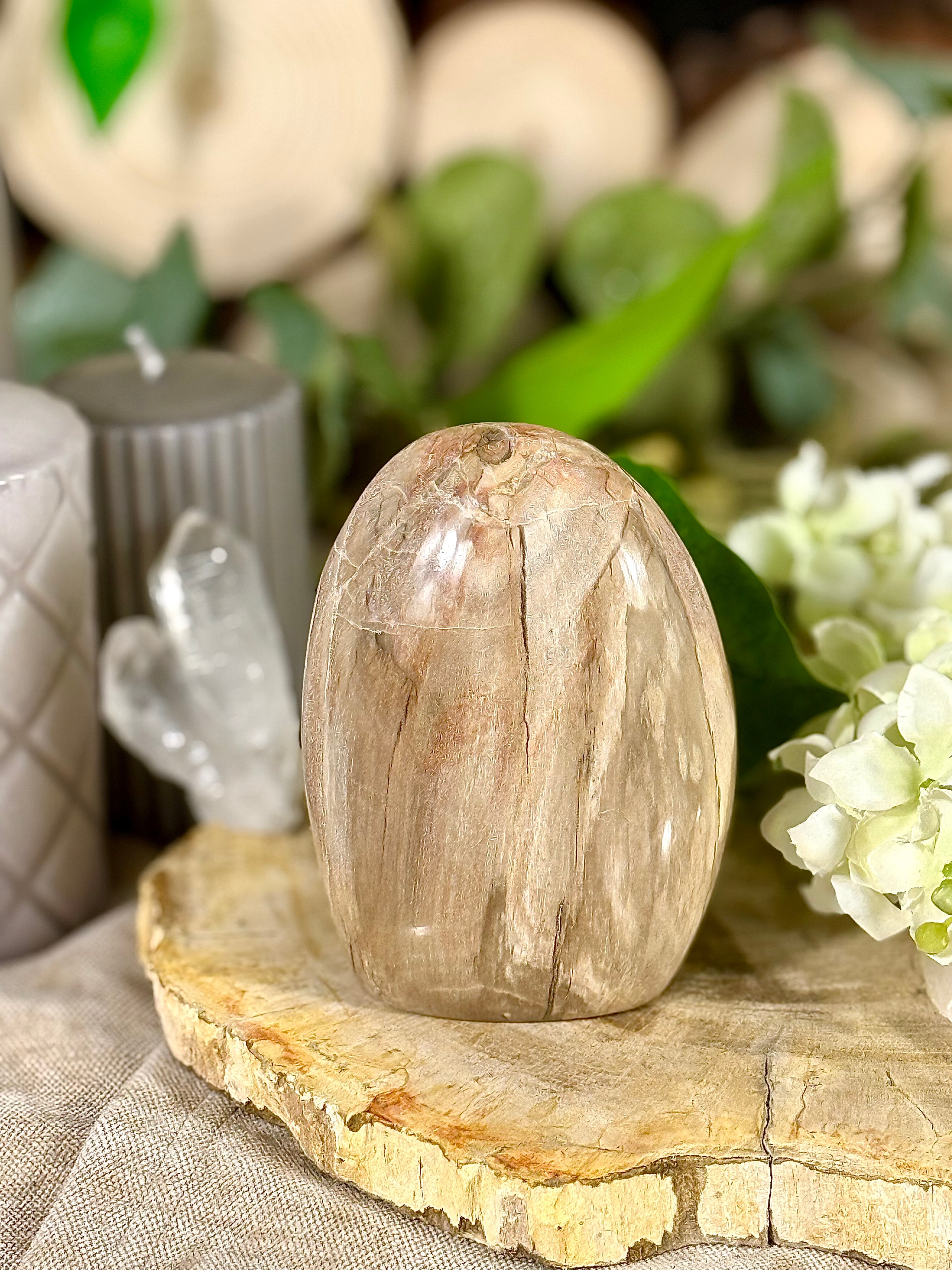 Fundstück Nr. VH6 | Versteinertes Holz