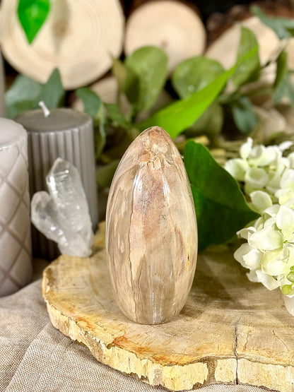 Fundstück Nr. VH6 | Versteinertes Holz