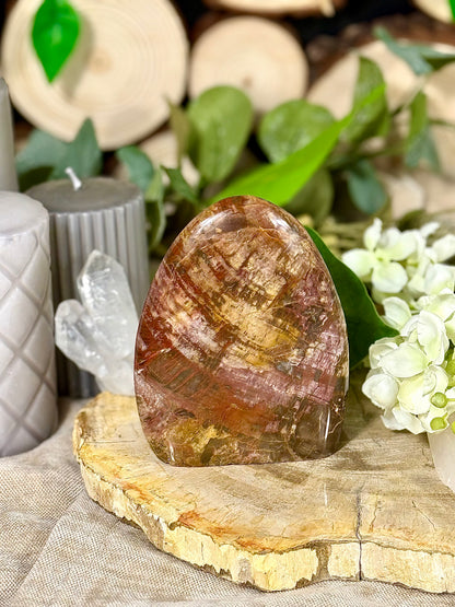 Fundstück Nr. VH7 | Versteinertes Holz