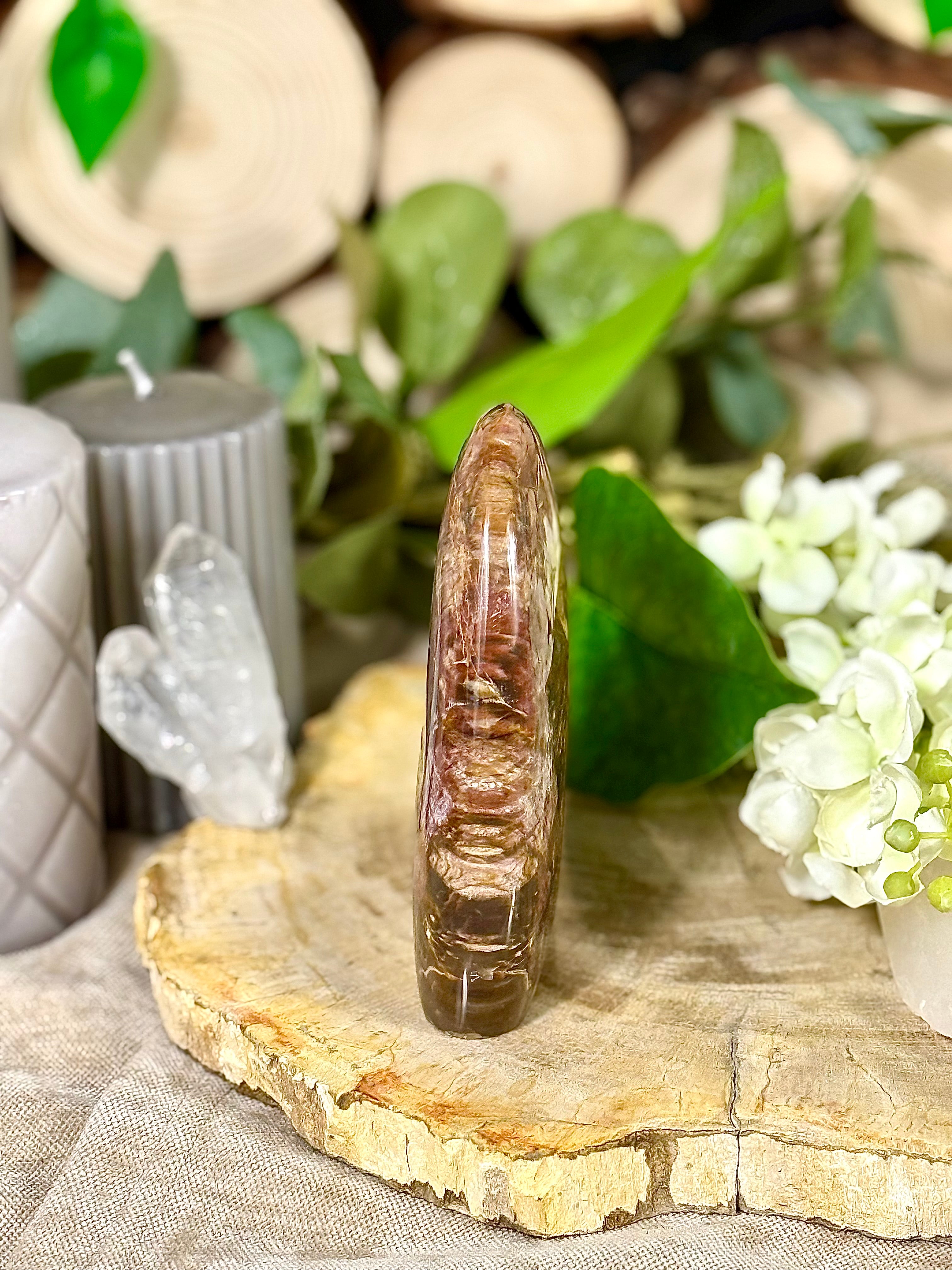 Fundstück Nr. VH7 | Versteinertes Holz