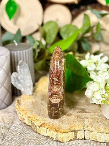 Fundstück Nr. VH7 | Versteinertes Holz
