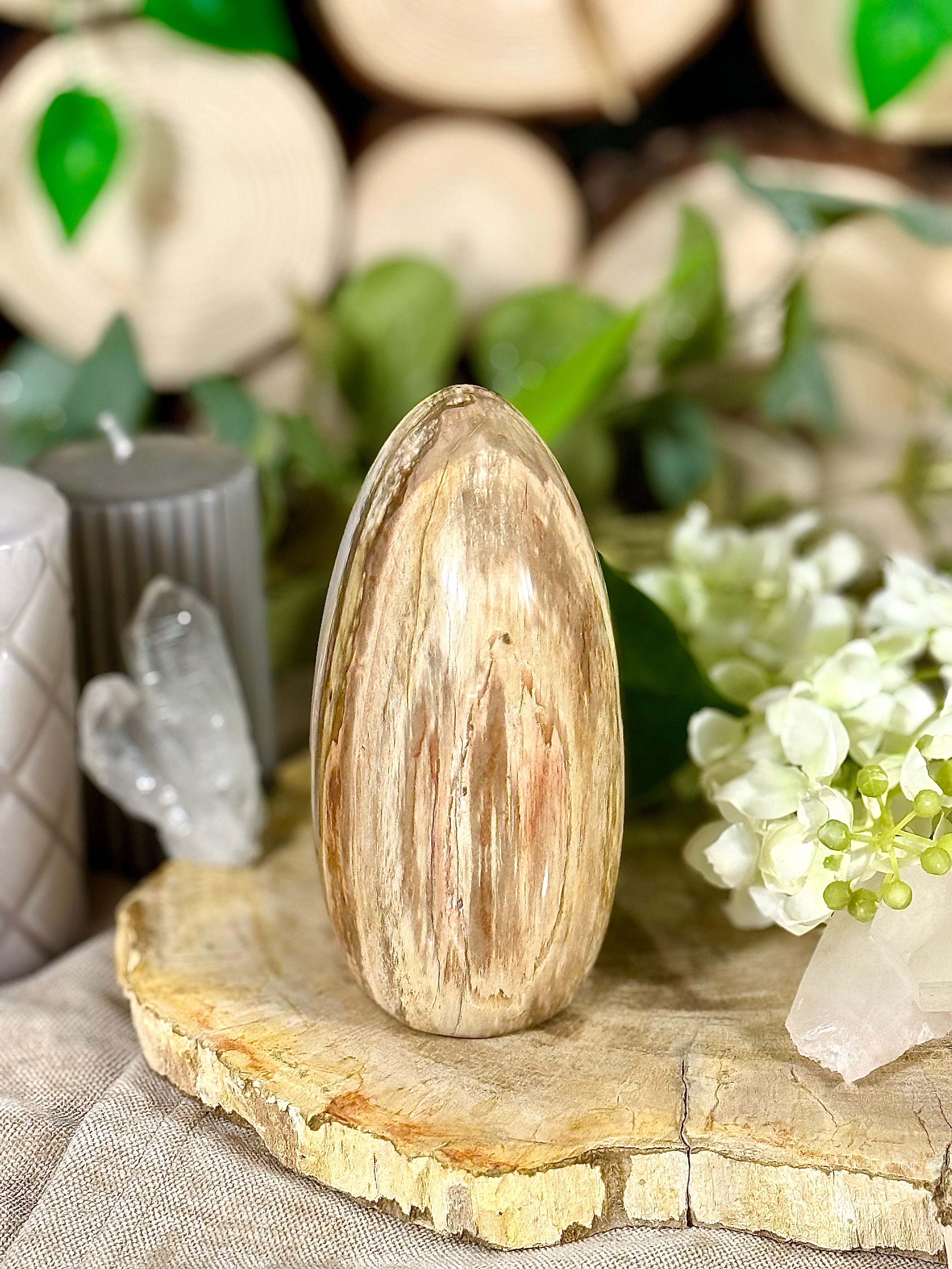 Fundstück Nr. VH8 | Versteinertes Holz