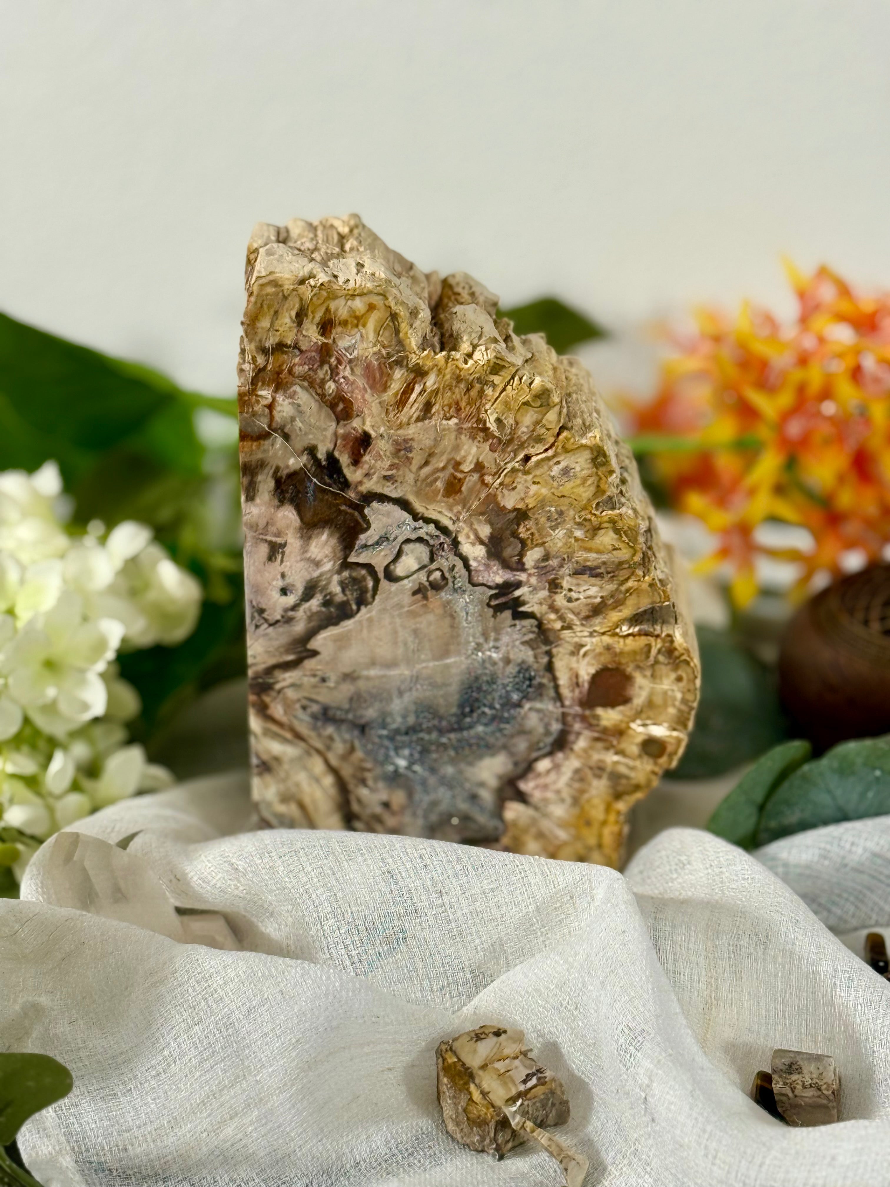 Fundstück Nr. 111 | Versteinertes Holz aus der Urzeit