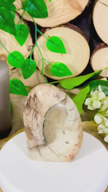 Fundstück Nr. 112 | Versteinertes Holz in Freiform