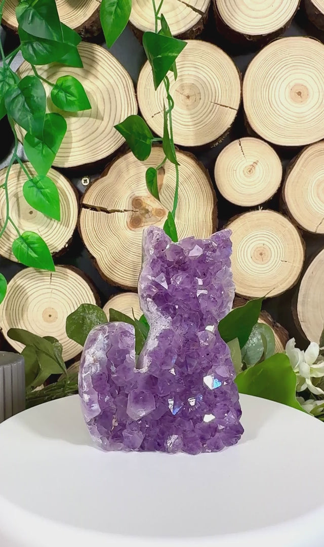 Fundstück Nr. AY14 | Amethyst Katze