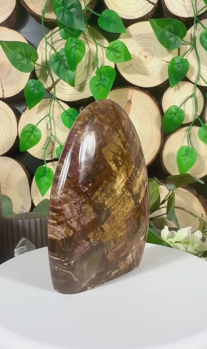 Fundstück Nr. VH7 | Versteinertes Holz